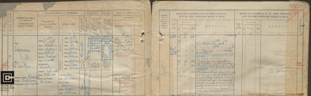 arbore genealogic cum sa gasesti rude pierdute in razboi centrul de consultanta istorica